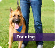 Training